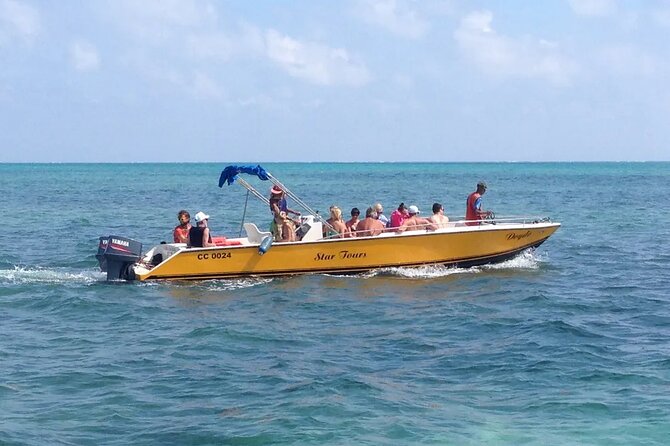 3 Hours Barrier Reef Tour in Caye Caulker, Belize - What this Caye Caulker reef trip is really like