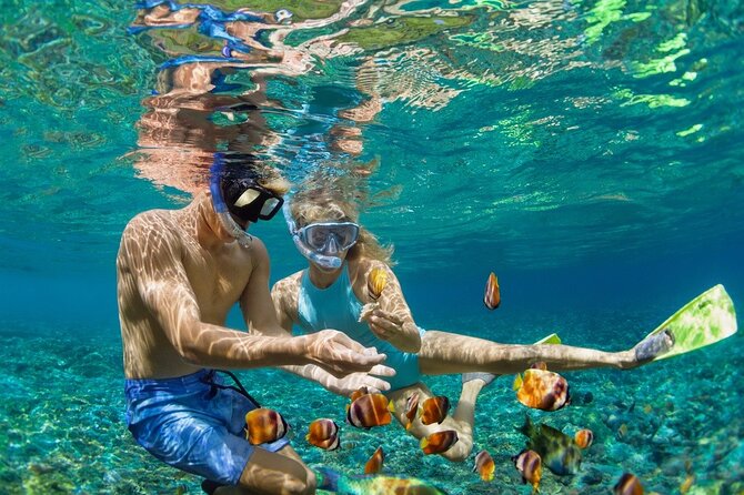 5-Island Speedboat Tour in Cartagena and the Rosario Islands - Key points to know before you book