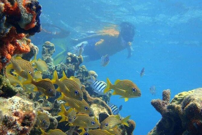 5 islands tour to rosario Islands with snorkeling activity! - Is this a family day or a party day?