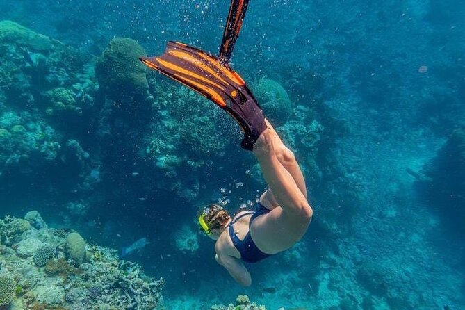 5 islands tour to rosario Islands with snorkeling activity! - Rosario Islands: swimming, shrimp cocktail, and a private-island pause