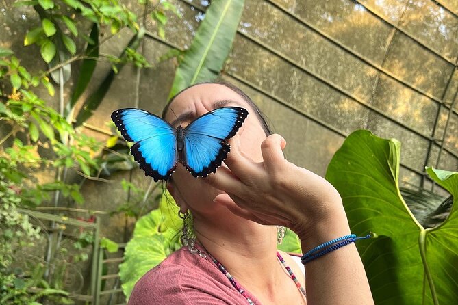 Admission to Andoke Butterfly Center in Cali with Release Ritual - A calm nature stop on the road to Cristo Rey