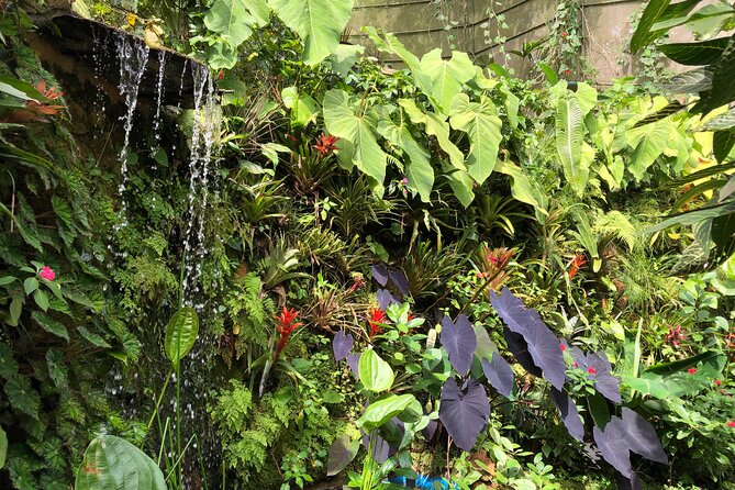 Admission to Andoke Butterfly Center in Cali with Release Ritual - The ant farm and butterfly laboratory