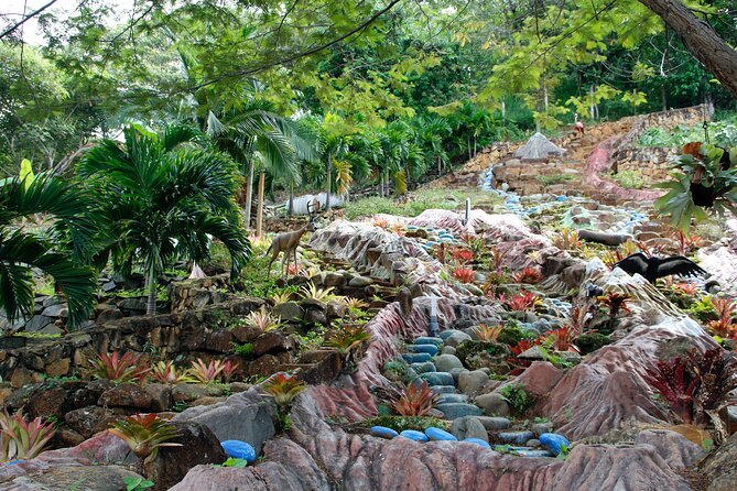 Admission to Andoke Butterfly Center in Cali with Release Ritual - From eggs to caterpillars and chrysalises