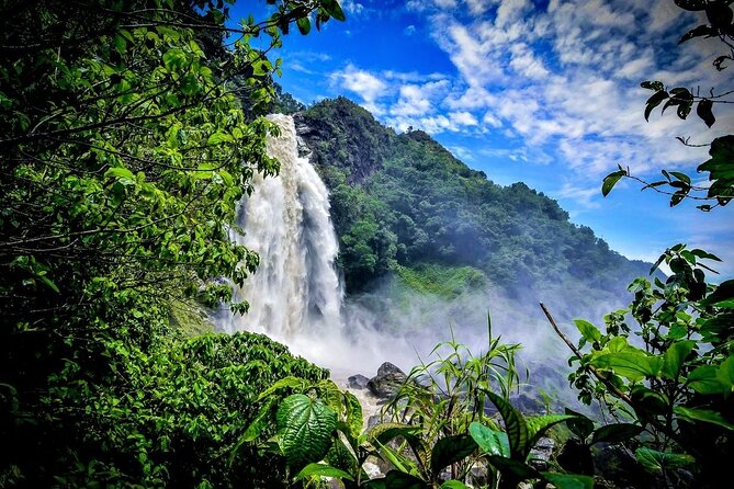 Aerial Hammocks, Zip and Waterfall Trek on Medellin Private Tour - Who will enjoy this private Medellín tour