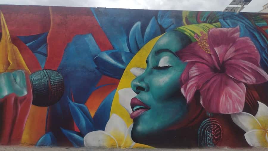Afro Walking Tour. The colors of Cali. - Tasting Afro-Colombian food along the route