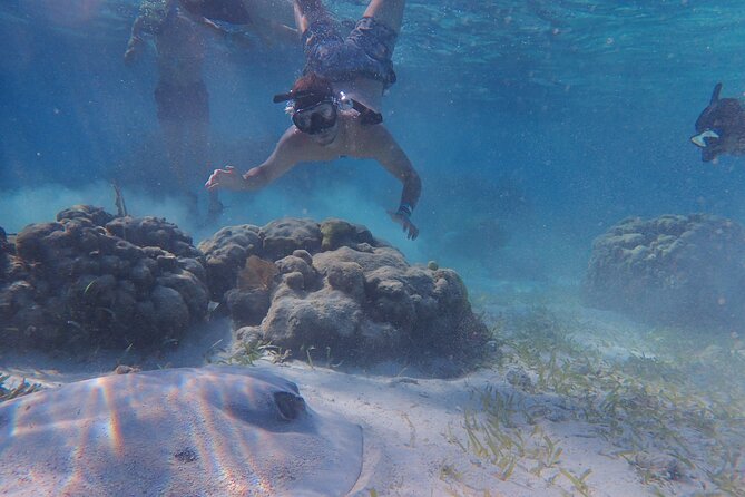 All-Inclusive Full-Day Hol Chan Snorkeling Tour - A full morning and afternoon around Caye Caulker