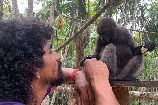 Amazon Unveiled: Private Ancestral Immersion & Conscious Luxury - Sunrise, Pirarucú, and Victoria Regia