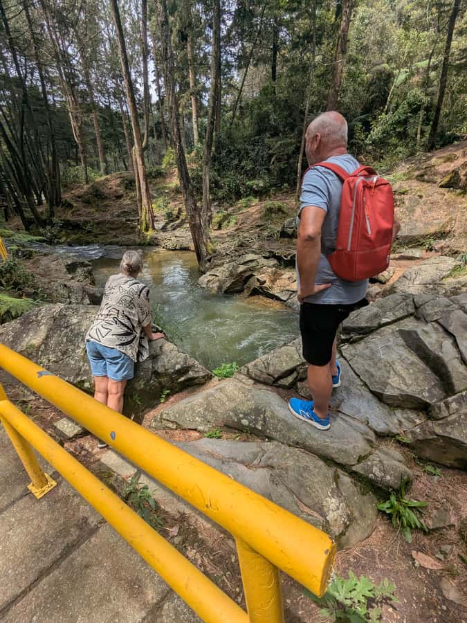 Arvi Park Walking tour and city views from Metrocable. - Returning to Medellín with valley views
