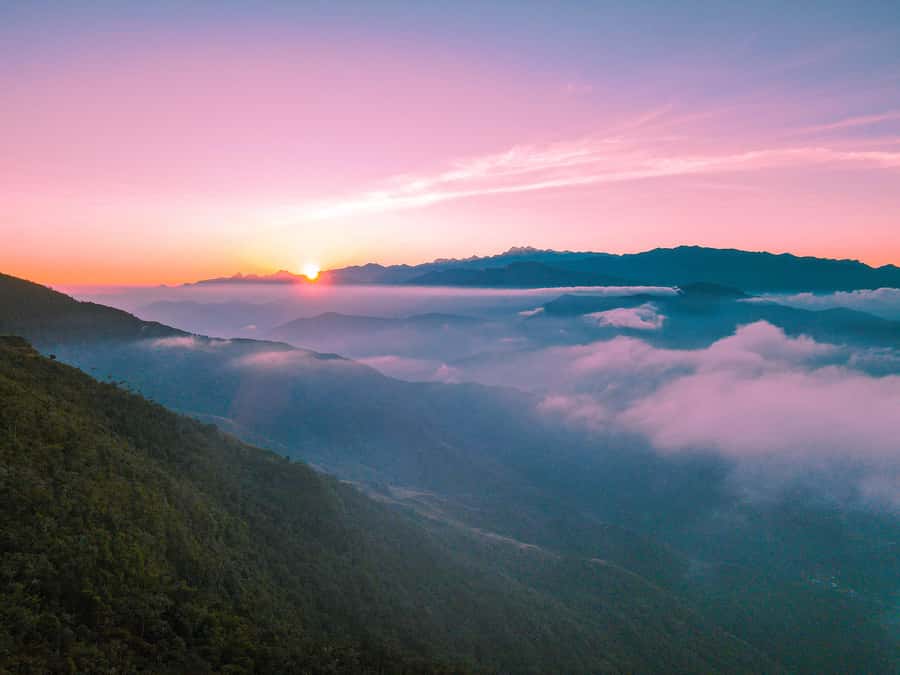 Avistamiento de aves en Minca Sierra Nevada de Santa Marta - Key points at a glance