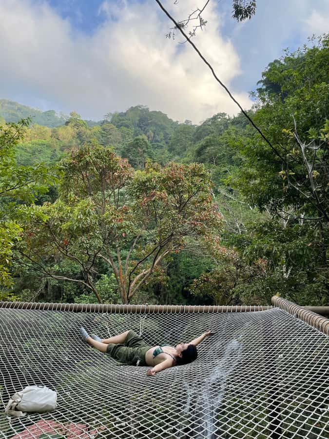 Avistamiento de aves en Minca Sierra Nevada de Santa Marta - Three hours on the Minca forest trail