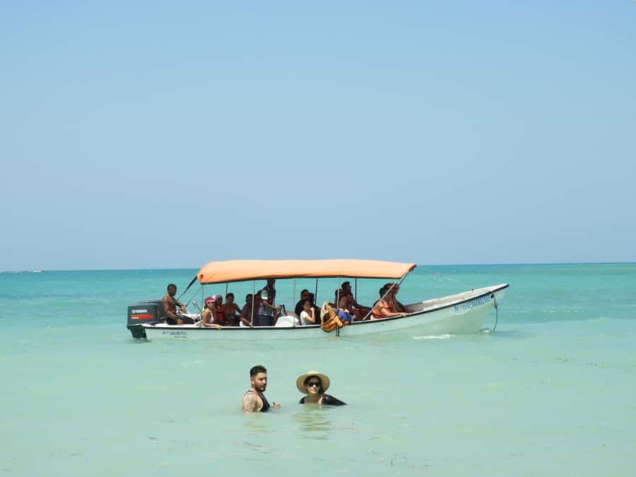 BARÚ: Enjoy the magic of Baru choosing best option for you - Should you book it?