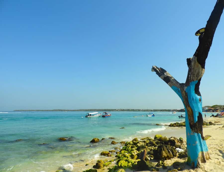 BARÚ: Enjoy the magic of Baru choosing best option for you - Snorkeling, the Oceanarium, and other add-ons