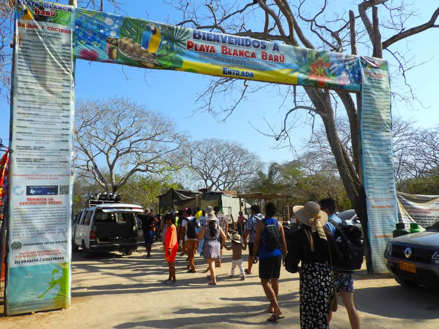 BARÚ: Enjoy the magic of Baru choosing best option for you - Who should book this Barú day pass?