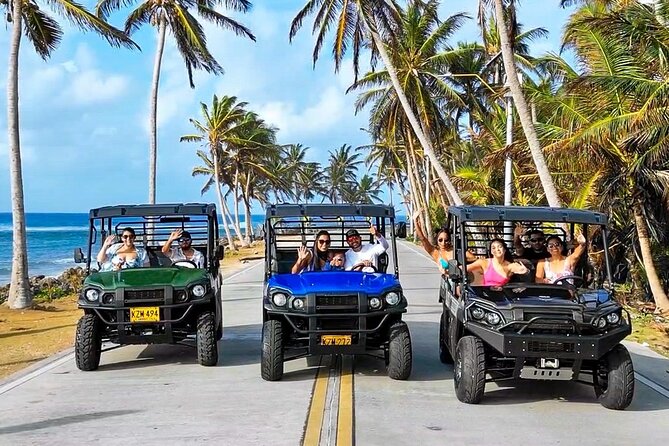 Beach Cart in San Andrés : your ideal Caribbean experience - Why a mulita suits San Andrés