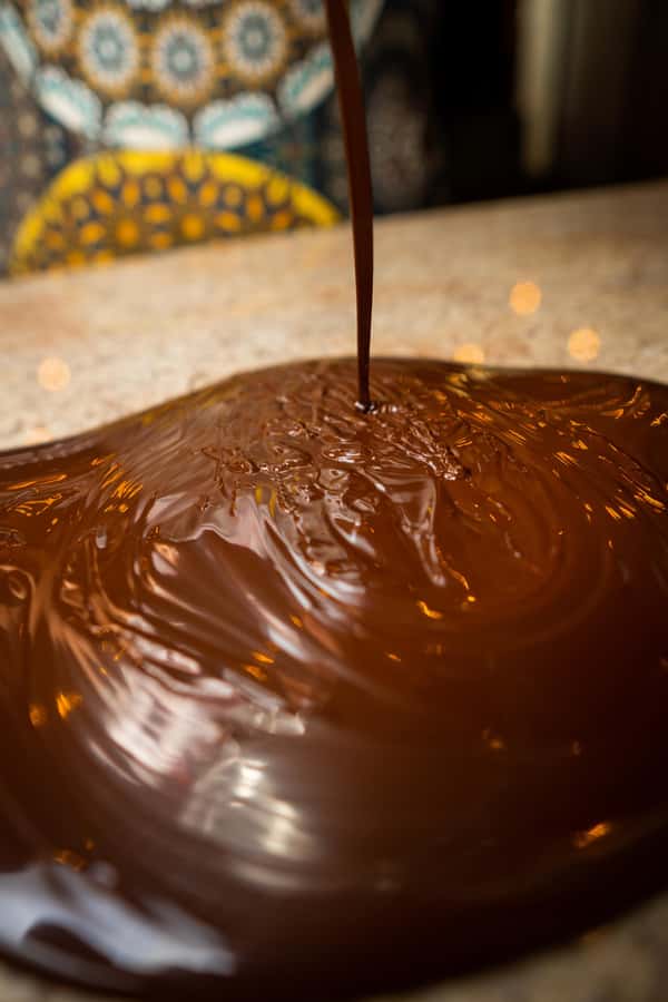Bean to Bar: Cocoa and Chocolate Workshop - Price, value, and who should book
