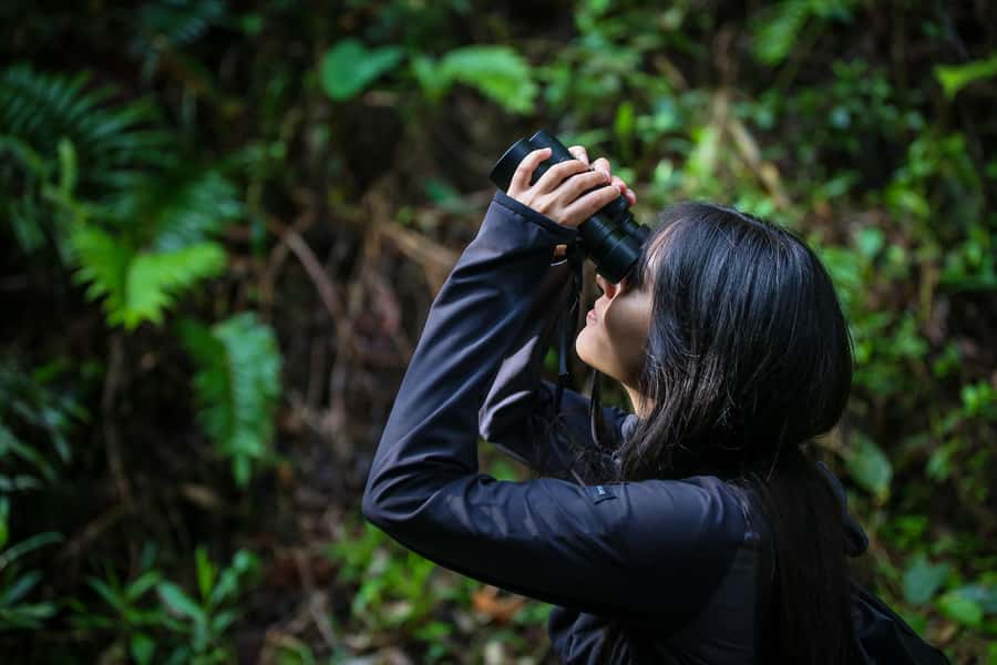 Birding Medellin with expert bird-watcher (Private) - Learning birds by sight, sound, and behavior