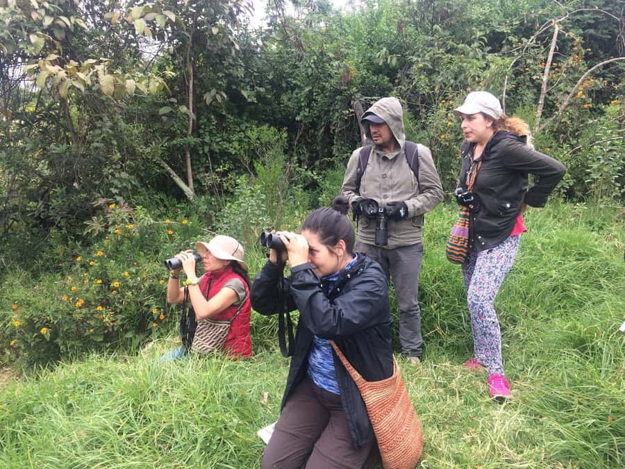 Birdwatching Day Tour at Chicaque Natural Park - Key points at a glance