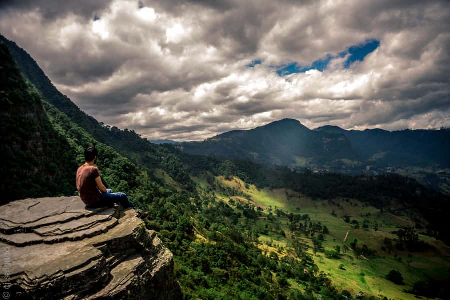 Birdwatching Day Tour at Chicaque Natural Park - Leaving Bogotá for a quieter forest