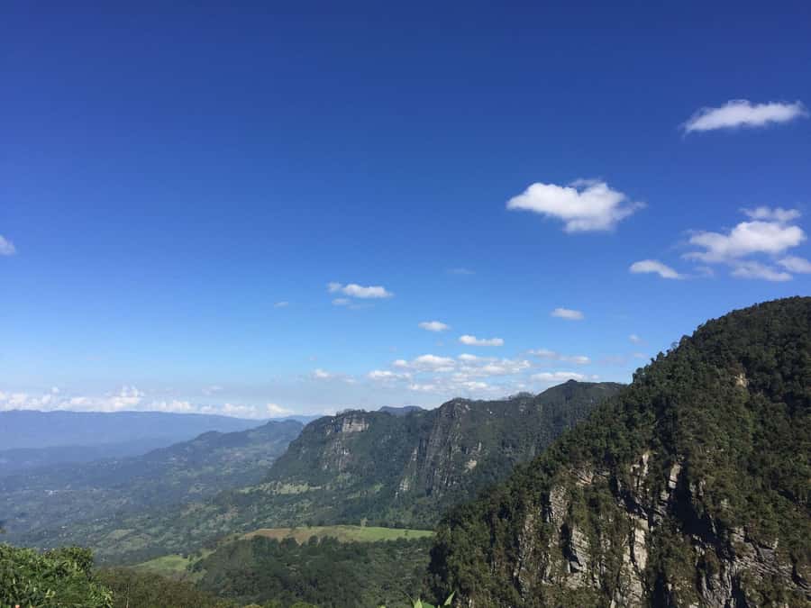 Birdwatching Day Tour at Chicaque Natural Park - Price and what the $93 covers