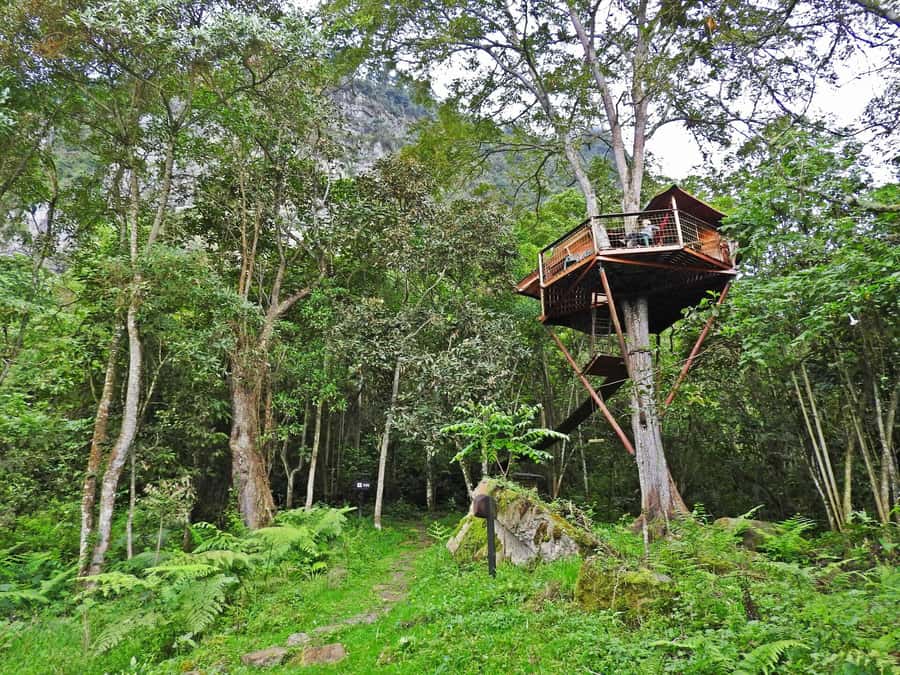 Birdwatching Day Tour at Chicaque Natural Park - Who should book this experience?
