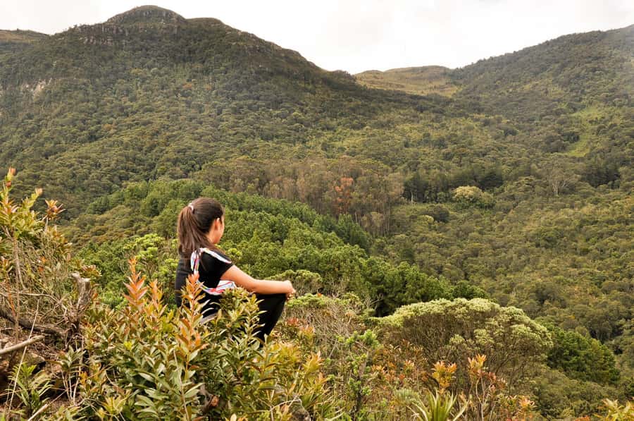 Bogota: East Hills Mountain Hike - The 3-kilometer climb through the reserve