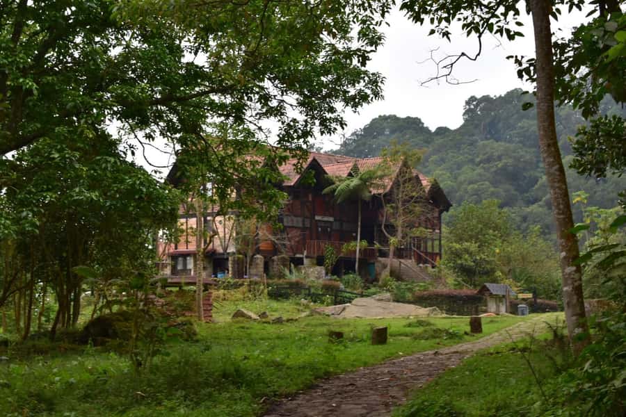 Bogota: Explore the forest and bird watching at Chicaque Natural Park - Getting oriented before the first trail