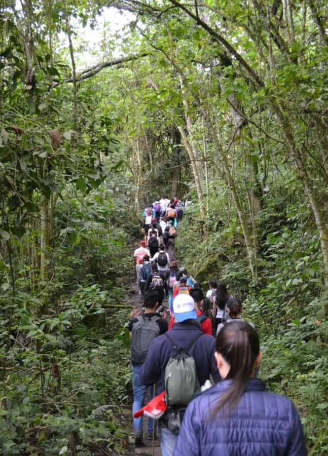 Bogota: Explore the forest and bird watching at Chicaque Natural Park - Looking for orchids, birds, and small mammals
