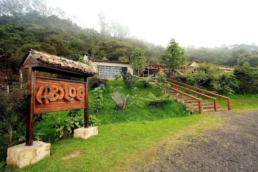 Bogota: Explore the forest and bird watching at Chicaque Natural Park - The moderate walk to Chicaque Waterfall