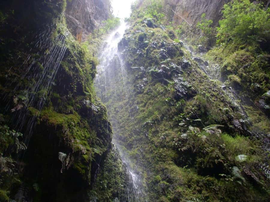 Bogota: Explore the forest and bird watching at Chicaque Natural Park - Lunch in the park, not back in Bogota