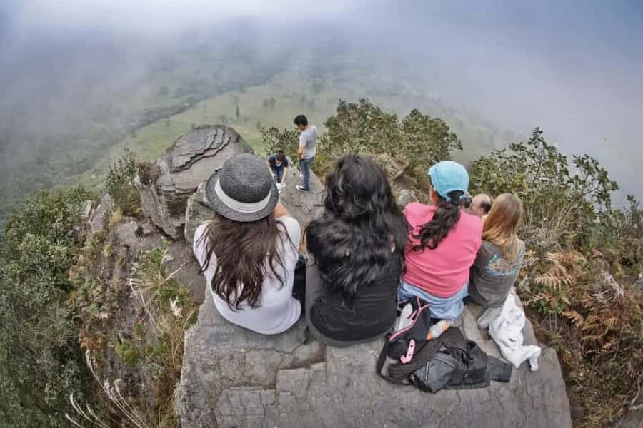 Bogota: Explore the forest and bird watching at Chicaque Natural Park - A quieter afternoon for birding and photos