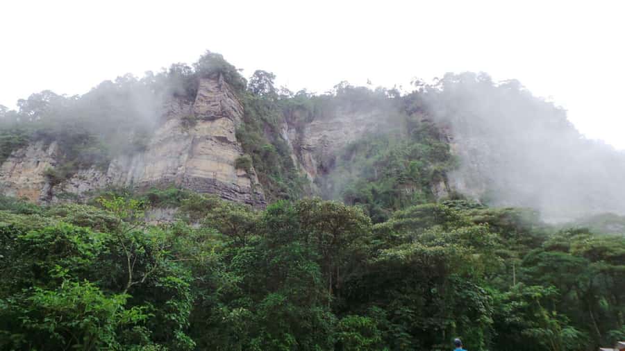 Bogota: Explore the forest and bird watching at Chicaque Natural Park - Who will enjoy this outing most