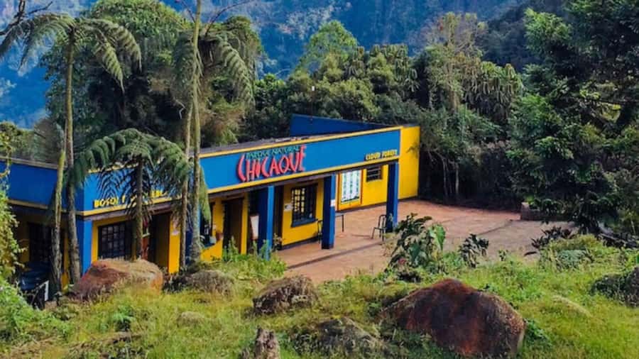 Bogota: Explore the forest and bird watching at Chicaque Natural Park - Picking a trail that fits your day