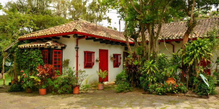 Bogotá: Guided Coffee Tour with Lunch, and Pickup & Drop-Off - Why this coffee day is different from a Bogotá tasting