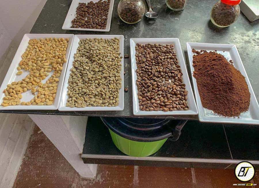 Bogotá: Guided Coffee Tour with Lunch, and Pickup & Drop-Off - Arriving at Hacienda Coloma