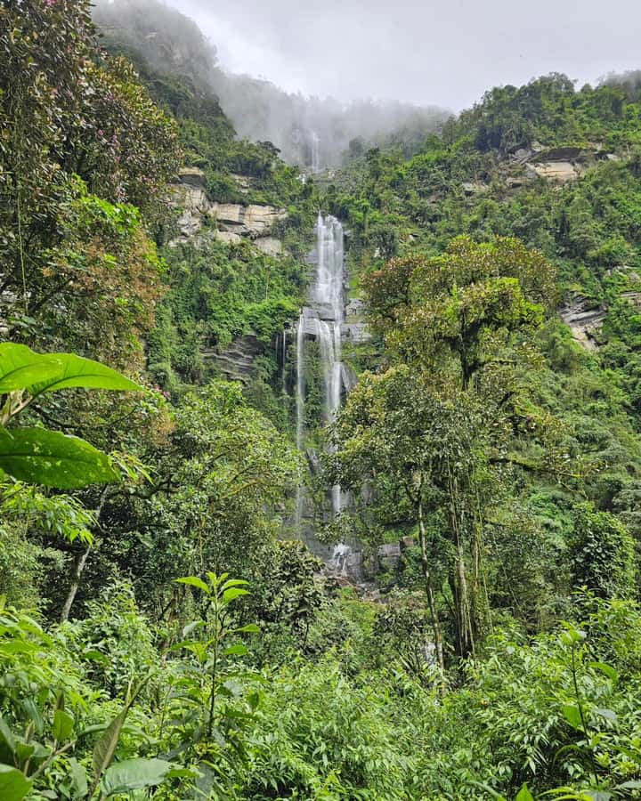 Bogota: Hike to La Chorrera Waterfall, El Chiflón and Guadalupe Hill - Who should book this experience