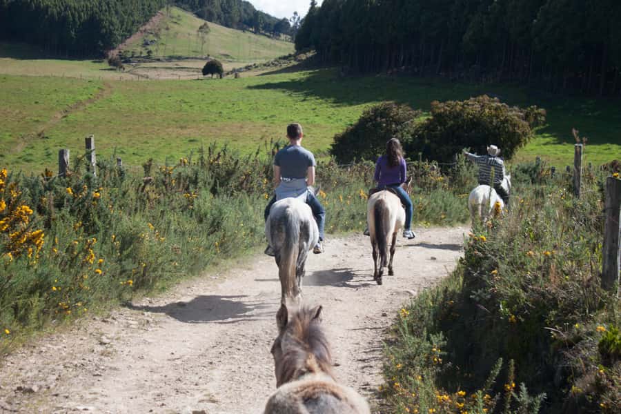 Bogota: Horseback Riding Tour - An Hour Through Forests, Creeks, and Open Country