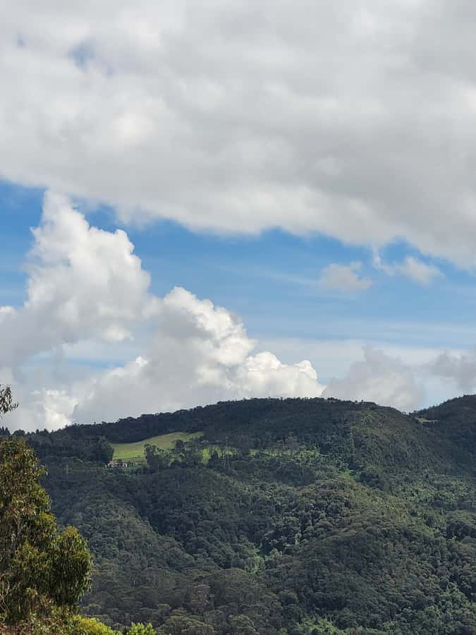Bogota: Private Tour to Monserrate and Guadalupe - Food and Drink Are Small but Helpful Extras