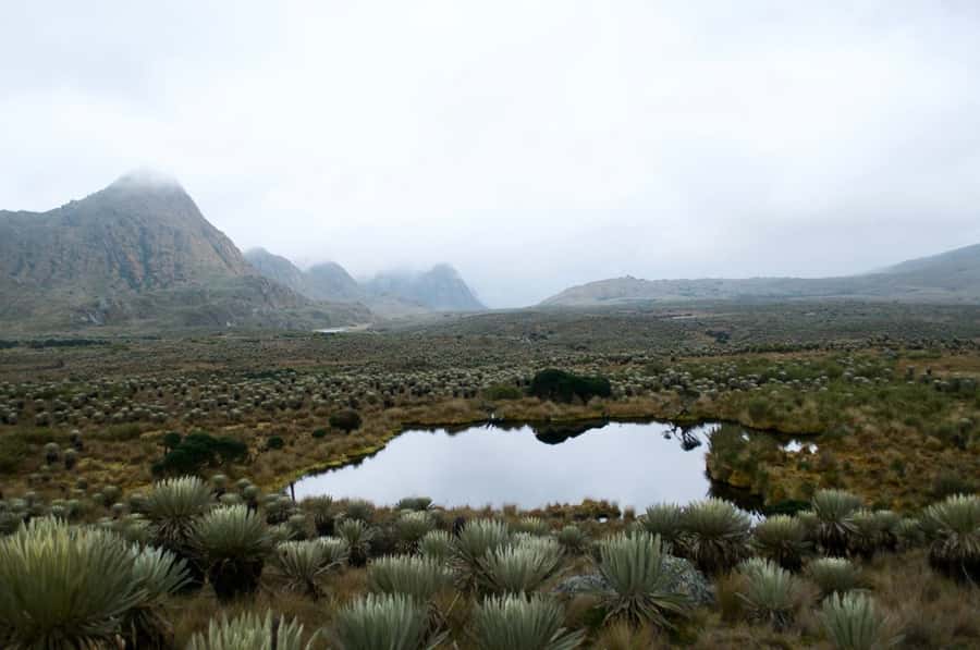 Bogotá: Sumapaz National Park Hike Tour - Why Sumapaz is different from a normal mountain walk