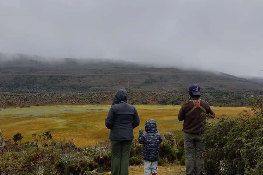 Bogotá: Sumapaz National Park Hike Tour - A guide who explains more than the route