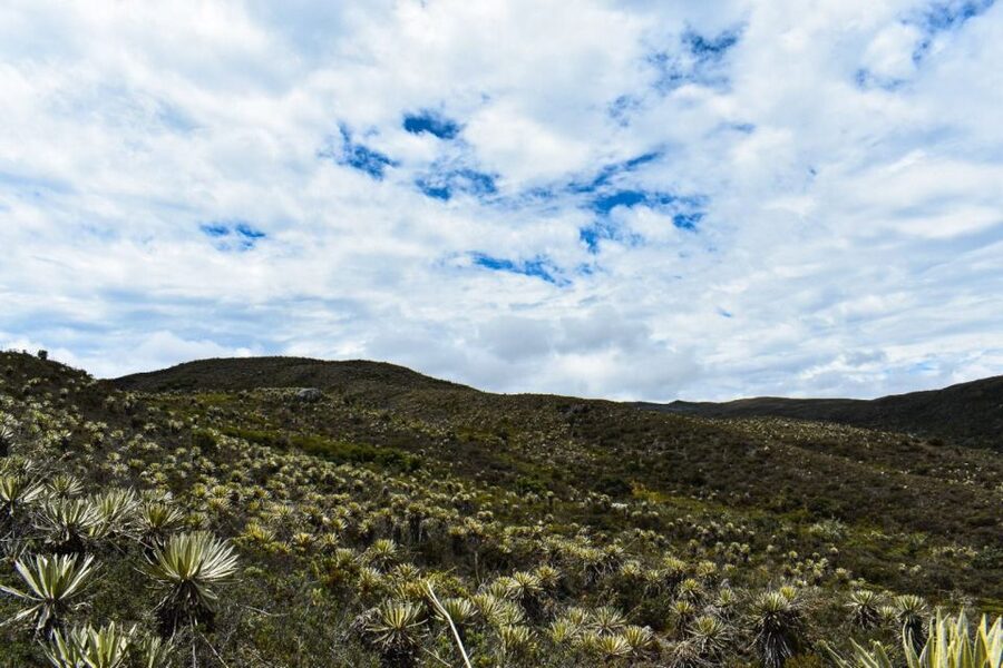 Bogotá: Sumapaz National Park Hike Tour - The cultural and political story behind the scenery