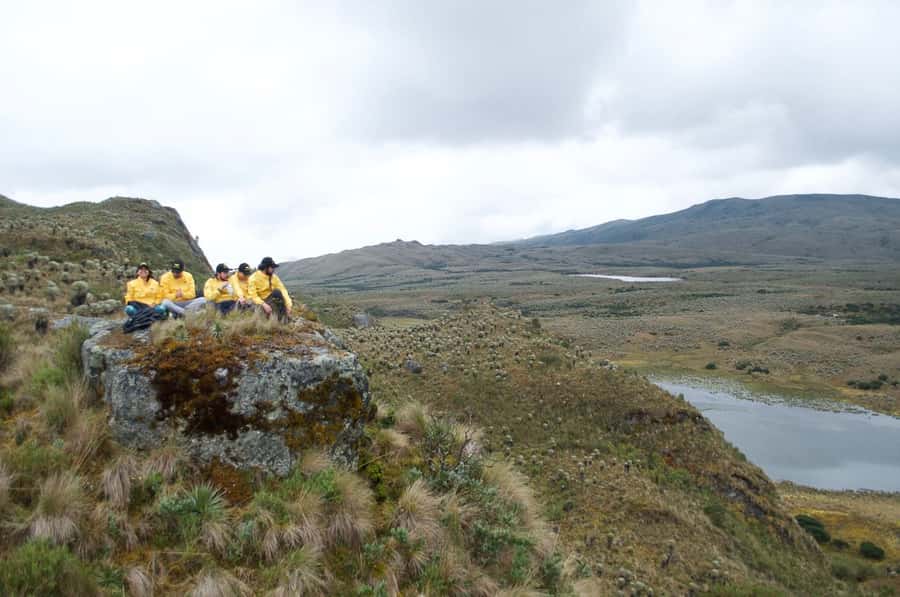 Bogotá: Sumapaz National Park Hike Tour - The return to Bogotá and the small local welcome