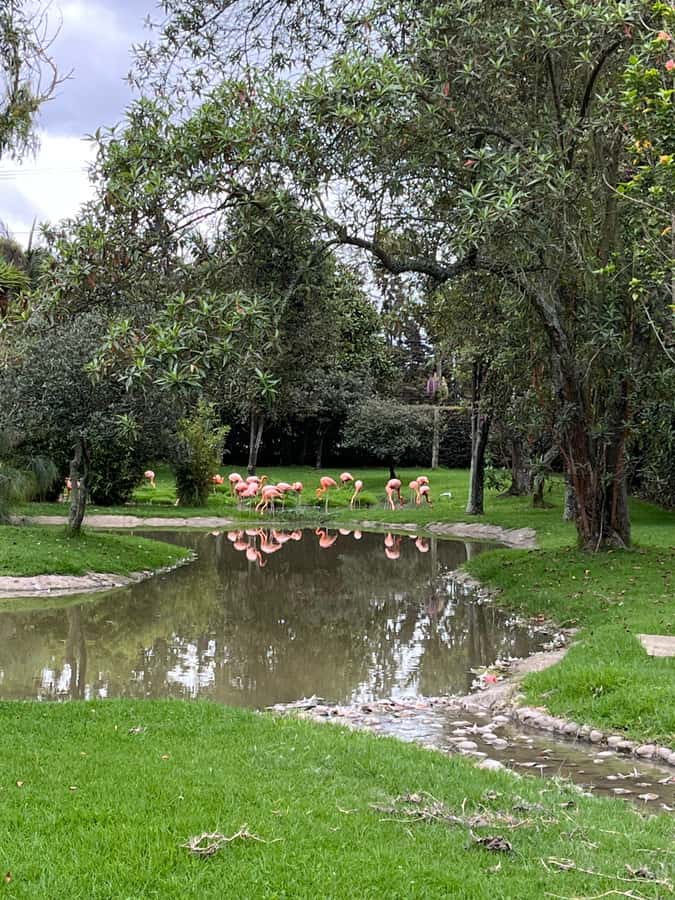 BOGOTA: Tour of Jaime Duque Park, Zoo, and Aerospace Museum - Aerospace Museum: the booking detail that matters most