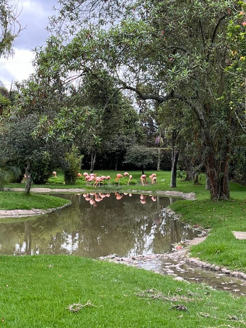 BOGOTA: Tour of Jaime Duque Park, Zoo, and Aerospace Museum - The Los Angeles Fountain Garden and the Medieval Castle