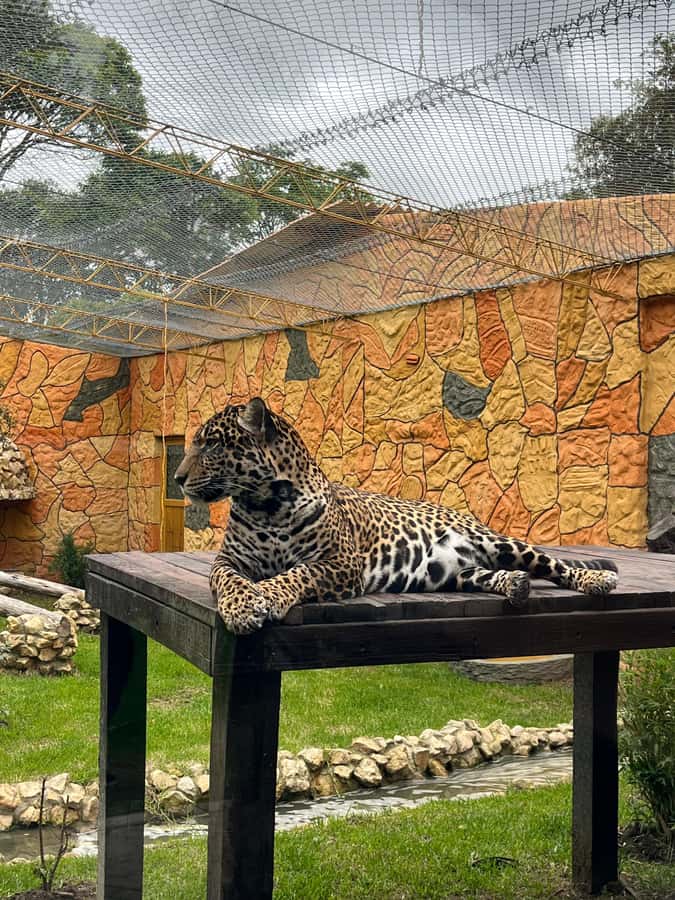 BOGOTA: Tour of Jaime Duque Park, Zoo, and Aerospace Museum - Lunch in Tocancipá and the real cost of the day