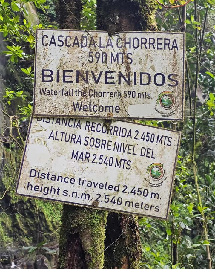 Bogotá: Visit Colombia's Highest Waterfalls & Guadalupe Hill - Why La Chorrera makes this day worth leaving Bogotá