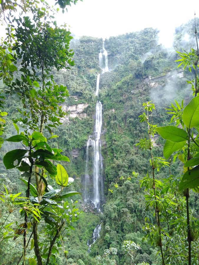 Bogotá: Visit Colombia's Highest Waterfalls & Guadalupe Hill - The Guadalupe Hill question