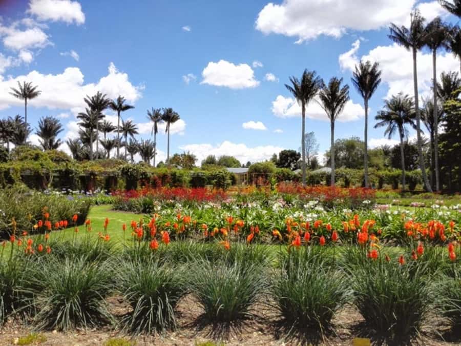 BOGOTA: Visit to the Botanical Garden and Ugly Betty's House - The Best Fit for This Experience