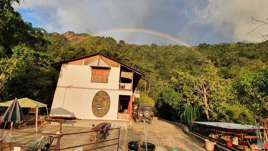 Cacao and Coffee Tour - The cacao exfoliation experience