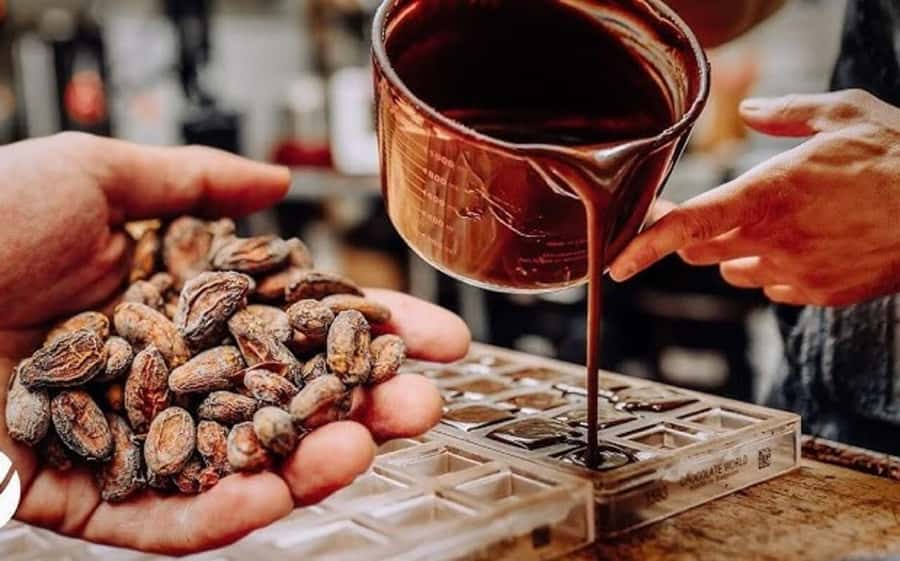 Cacao Experience Tour - Key points to know before you book