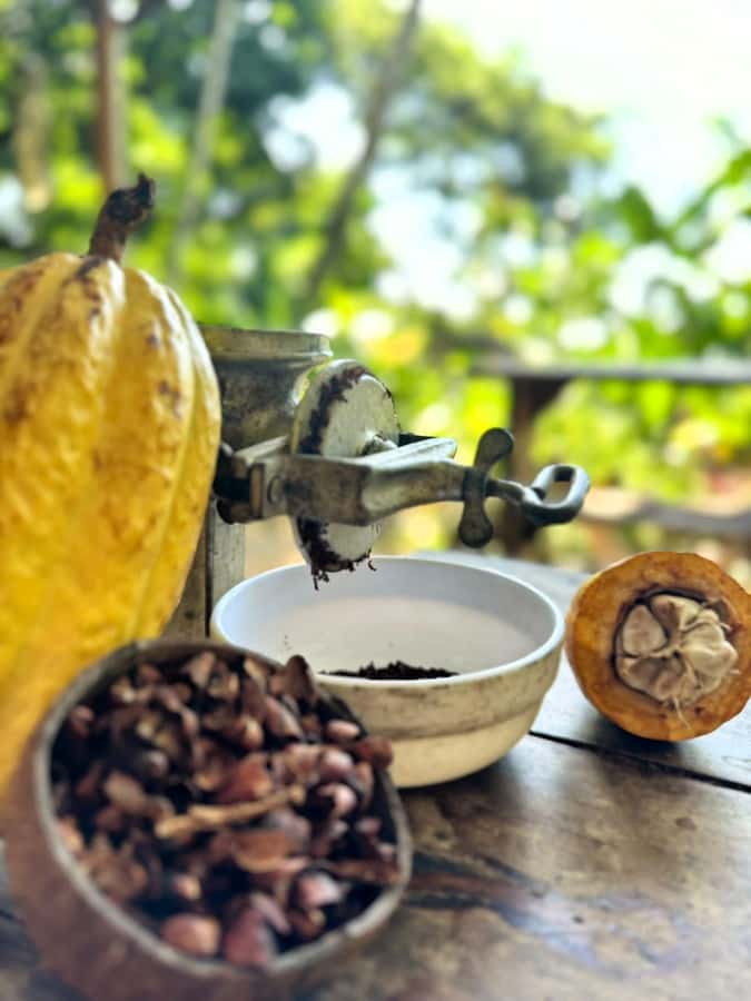 Cacao Experience Tour - Starting at Minca’s church